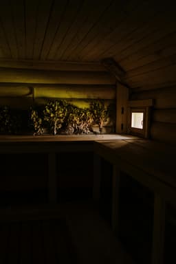 Interieur van de Finse sauna met warm houten interieur